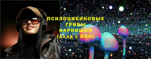 a pvp Алзамай